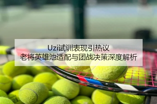 Uzi试训表现引热议 老将英雄池适配与团战决策深度解析